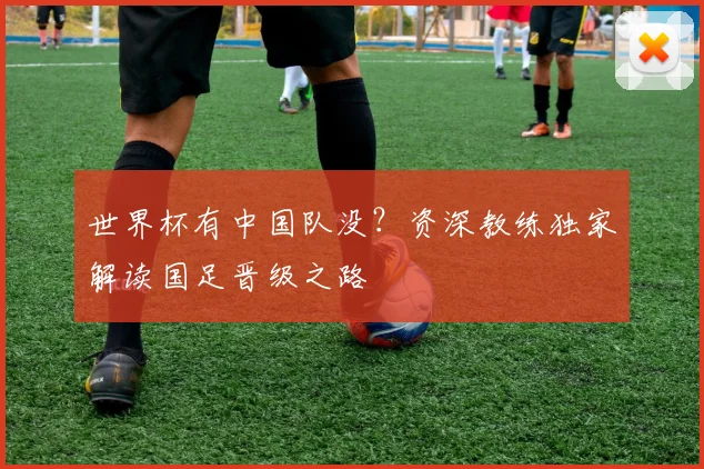 世界杯有中国队没？资深教练独家解读国足晋级之路