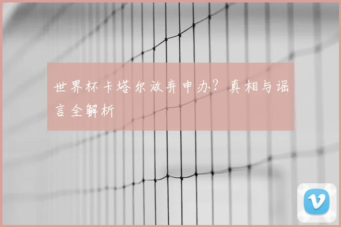 世界杯卡塔尔放弃申办？真相与谣言全解析